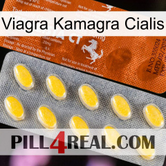 Viagra Kamagra Cialis 42